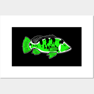 FISH PEACOCK BASS Posters and Art